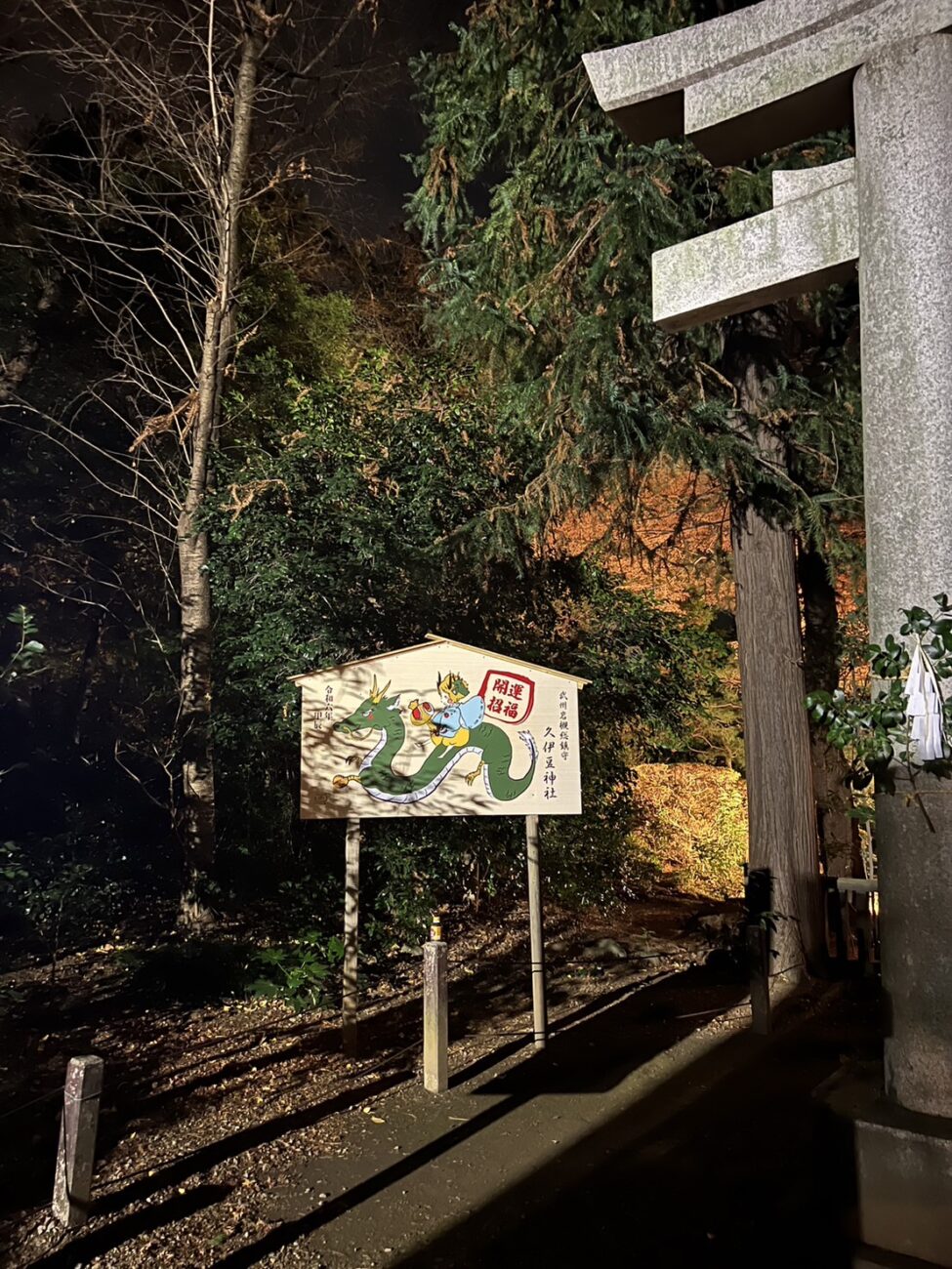 2024年🐉‼️