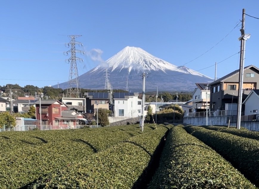新しい仲間✨