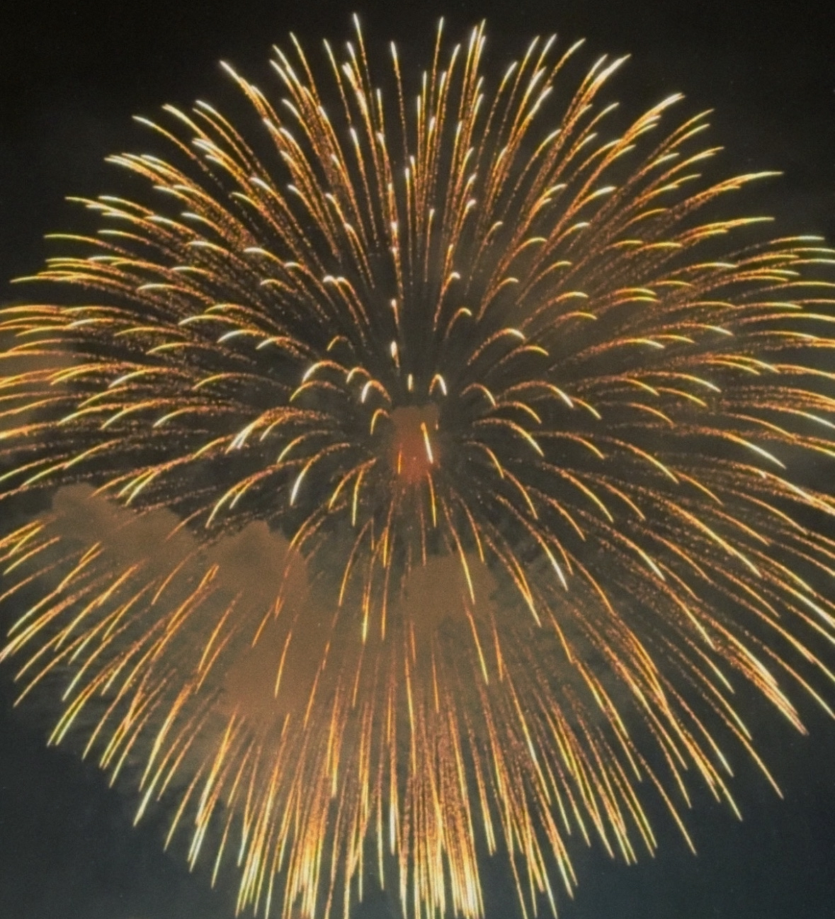 🔥FIREWORK🔥
